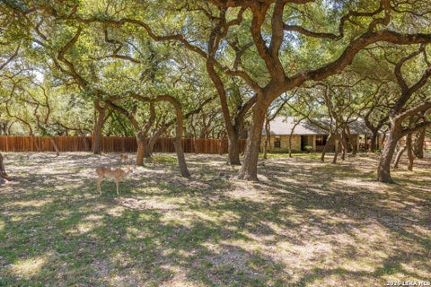 Photo of 112 Golden Morn, San Antonio, TX 78260 (MLS # 2016047)