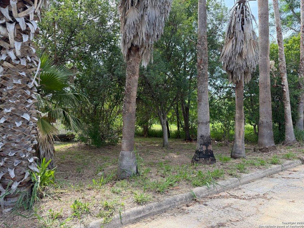 Photo of 504 water, Pleasanton, TX 78064 (MLS # 1866318)