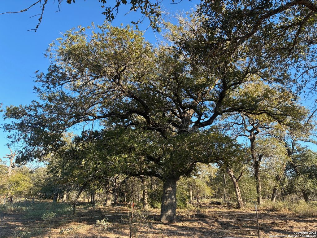 Photo of 413 BATEY RD, Seguin, TX 78155 (MLS # 1922876)