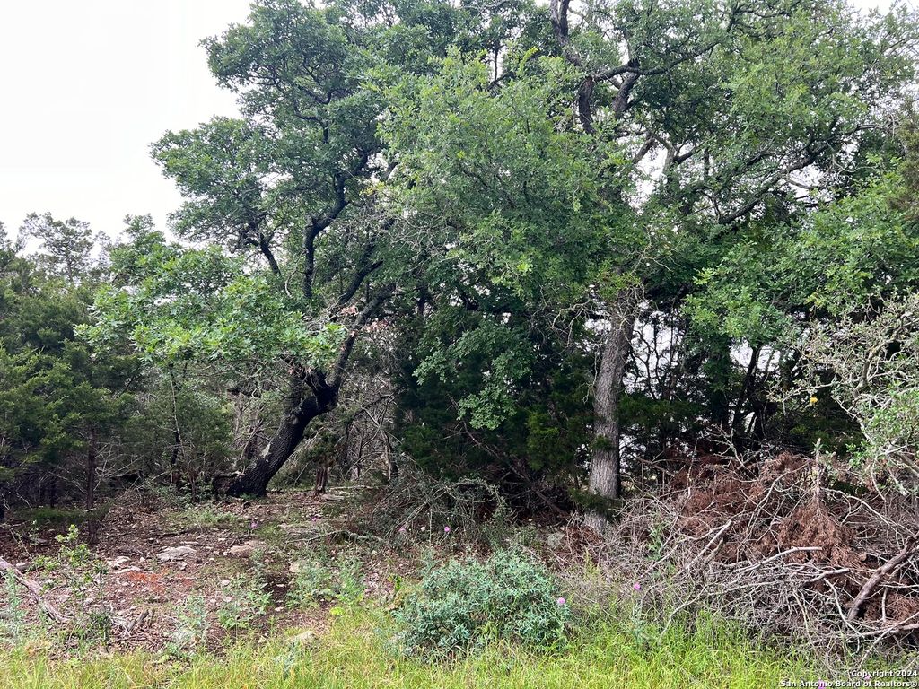 Photo of 512 Lasso, Canyon Lake, TX 78133 (MLS # 1925850)