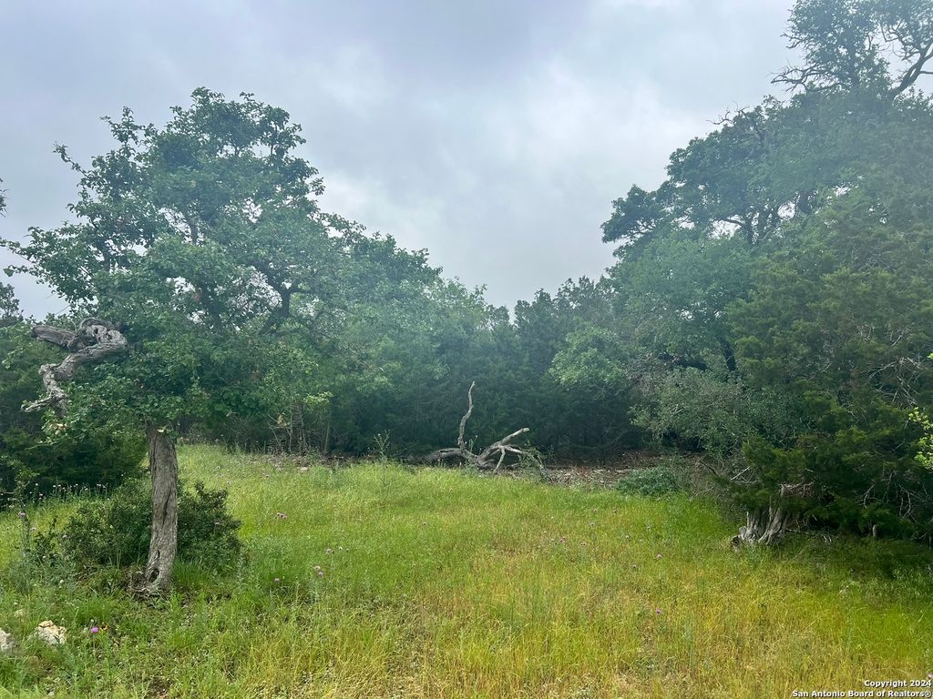 Photo of 512 Lasso, Canyon Lake, TX 78133 (MLS # 1925850)
