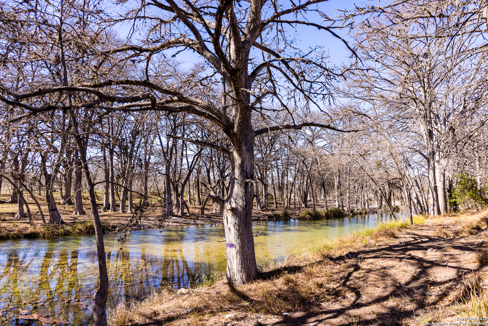 2400 Little Dry Frio Road