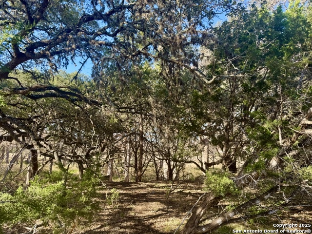 140 Spring Branch Dr.