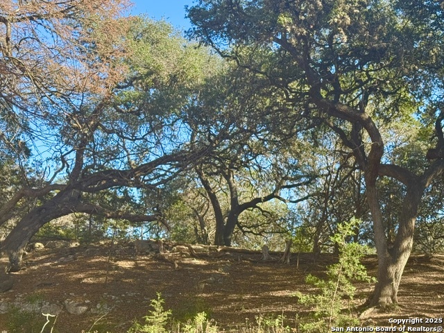 140 Spring Branch Dr.