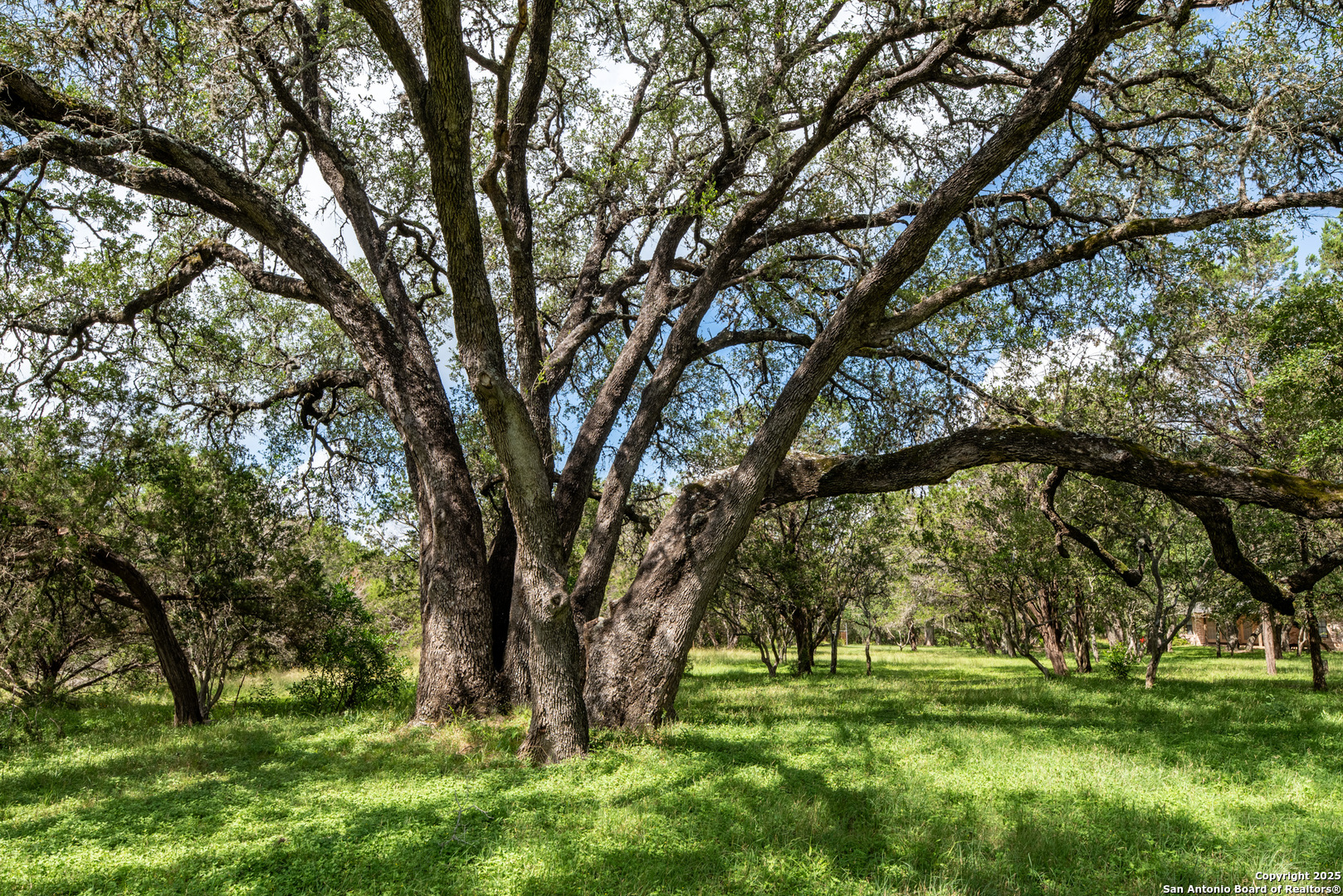 1100 Isaac Creek