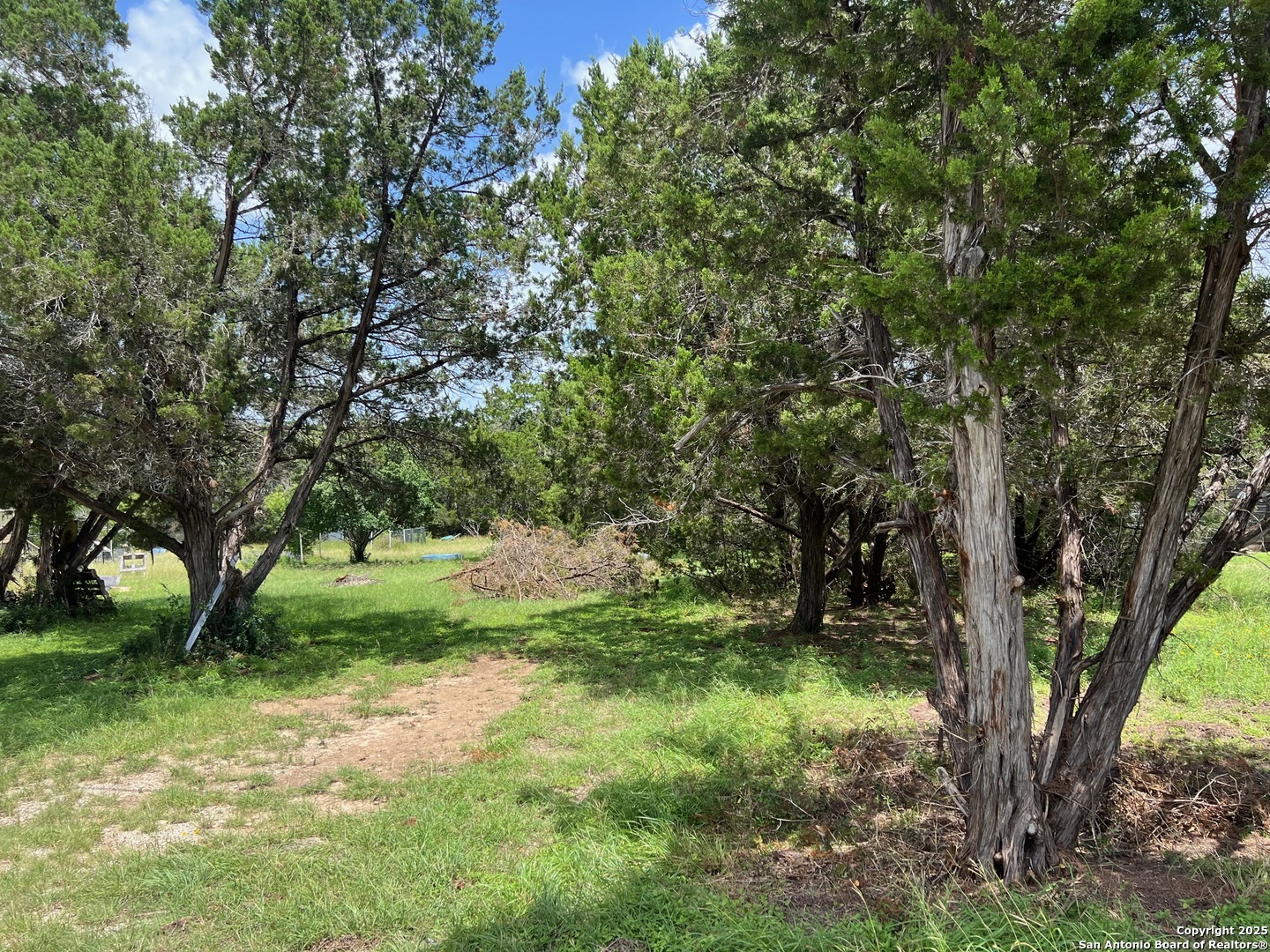 Canyon Lake, Texas 78133, United States, ,Land,Active,155618