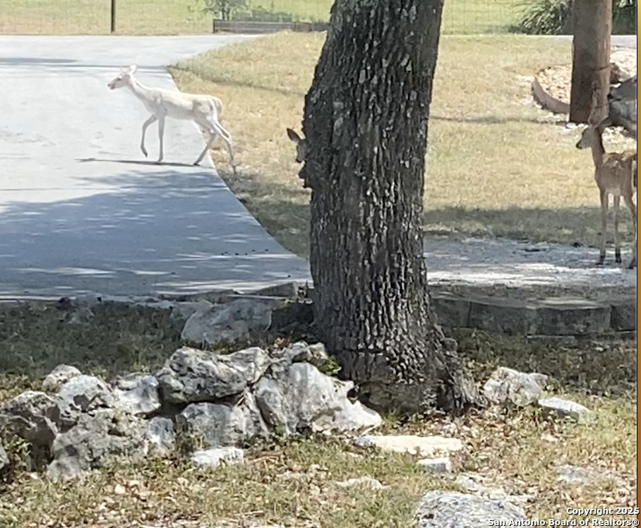Canyon Lake, Texas 78133, United States, 4 Bedrooms Bedrooms, ,3 BathroomsBathrooms,Residential,Active,86314
