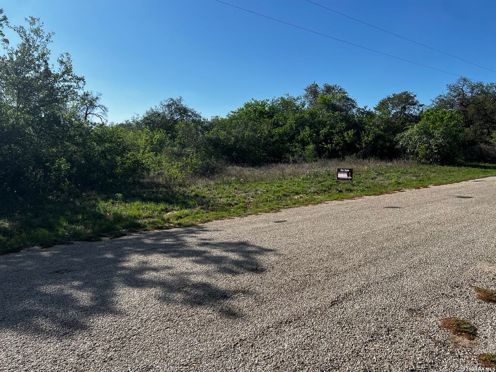 Photo of MARIPOSA Mariposa, Poteet, TX 78065 (MLS # 1947090)