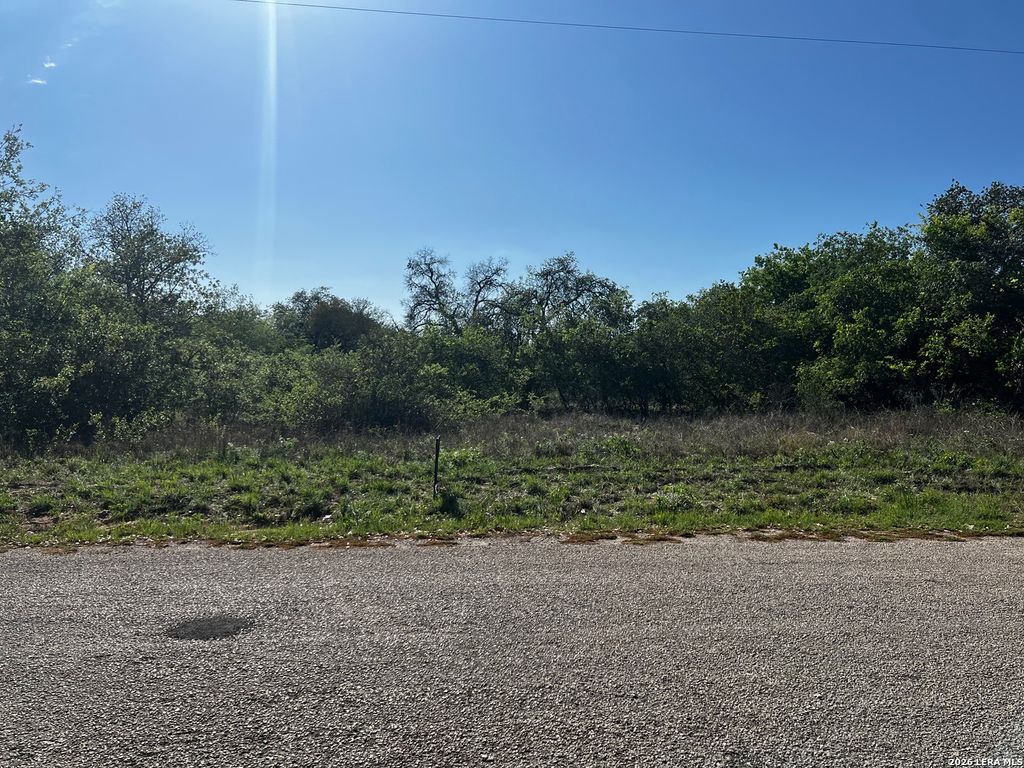Photo of MARIPOSA Mariposa, Poteet, TX 78065 (MLS # 1947090)