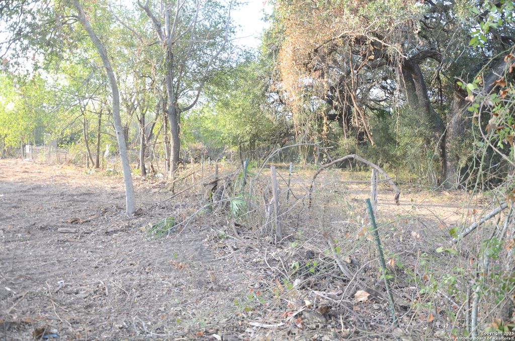 Photo of TBD Highway 173, Devine, TX 78016 (MLS # 1913432)