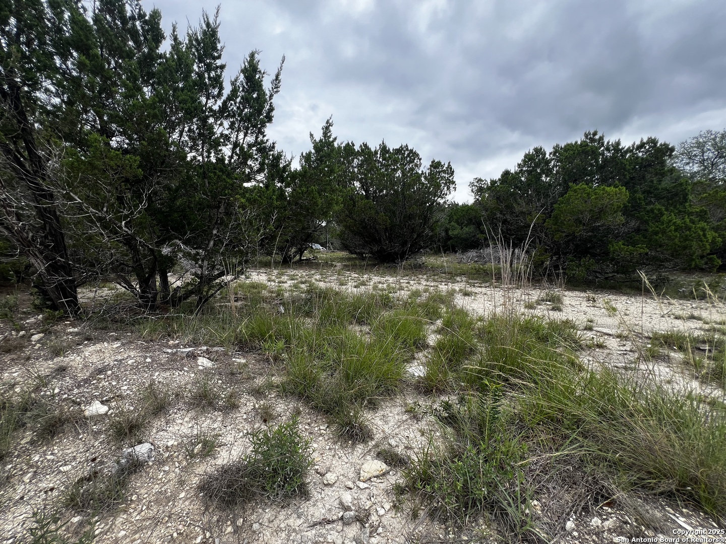 LOTS 108 & 109 Old Castroville