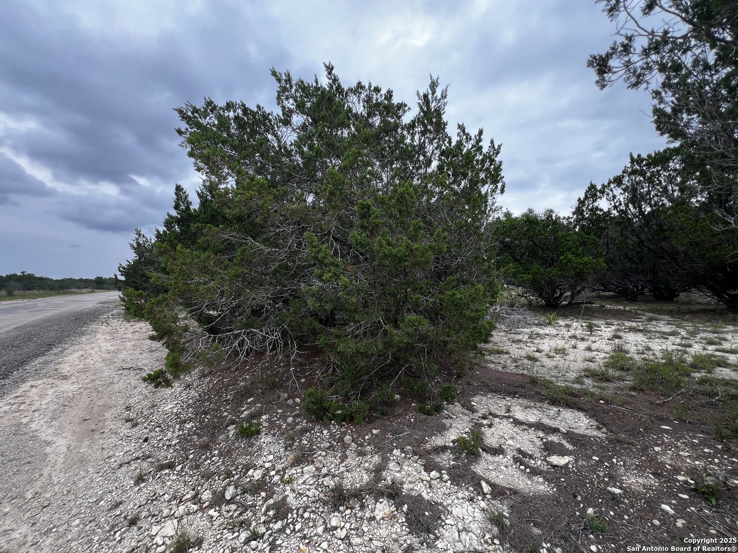 LOTS 108 & 109 Old Castroville