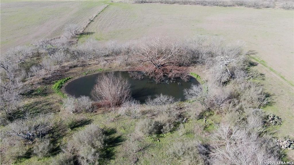 Photo of 445 Katie Ln, Seguin, TX 78155 (MLS # 1960261)