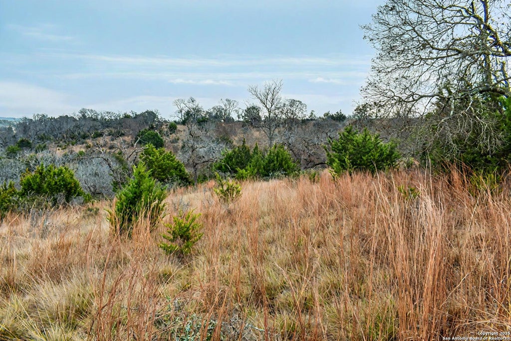 Photo of 345 N Echo Falls, Comfort, TX 78013 (MLS # 1839619)