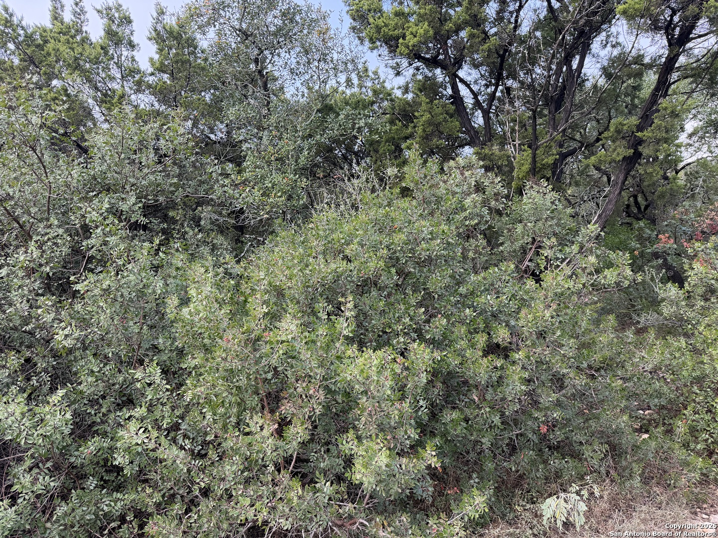 Search 19011 Snuggle Cliff