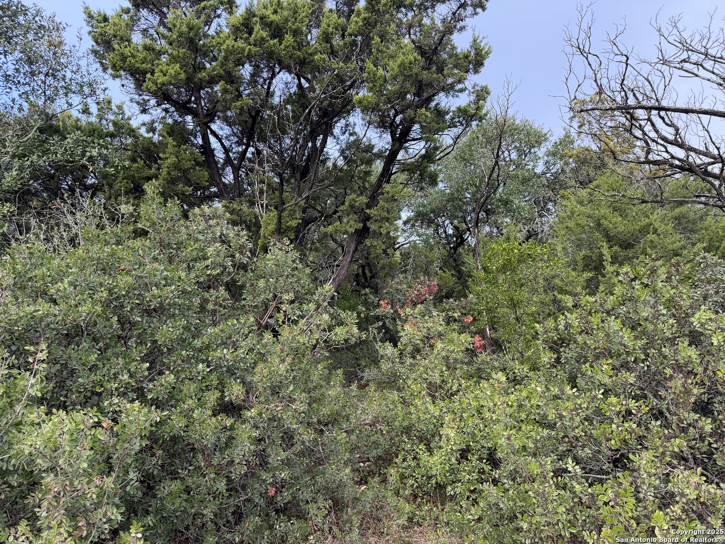 Search 19011 Snuggle Cliff