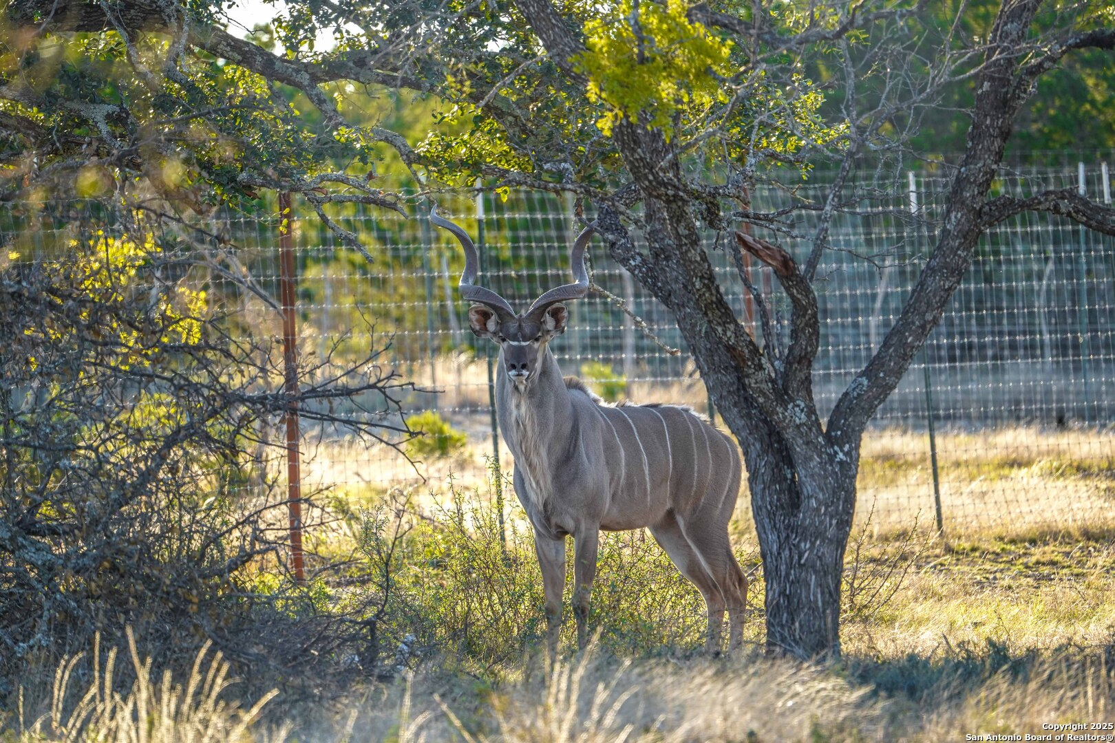 Search 1950 Tolles Rd
