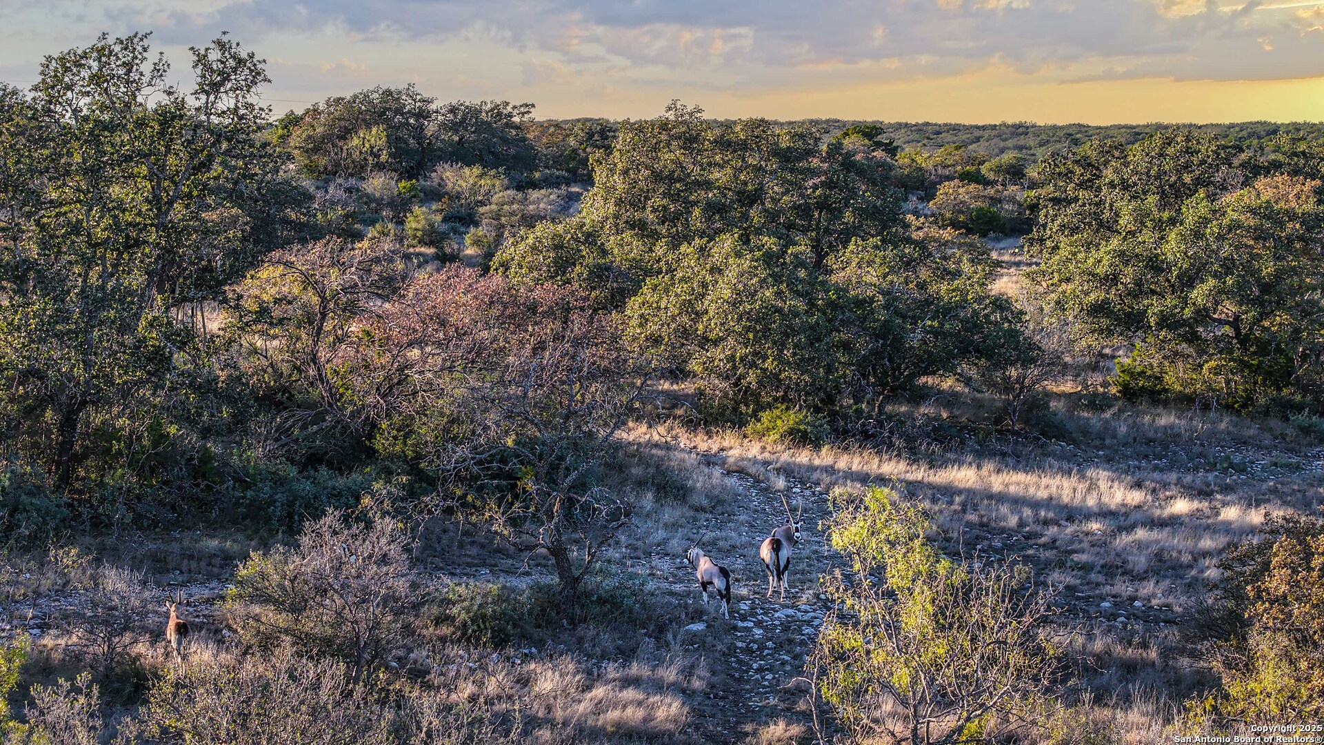 Search 1950 Tolles Rd