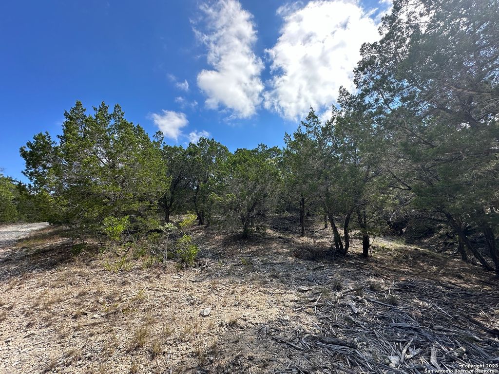 Photo of 439 Private Road 1706, Helotes, TX 78023 (MLS # 1842455)