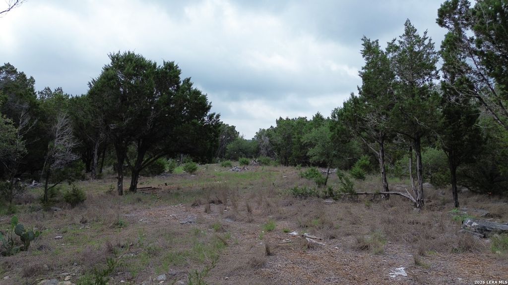Photo of 1240 HAPPY HOLLOW DR, New Braunfels, TX 78132 (MLS # 1970135)