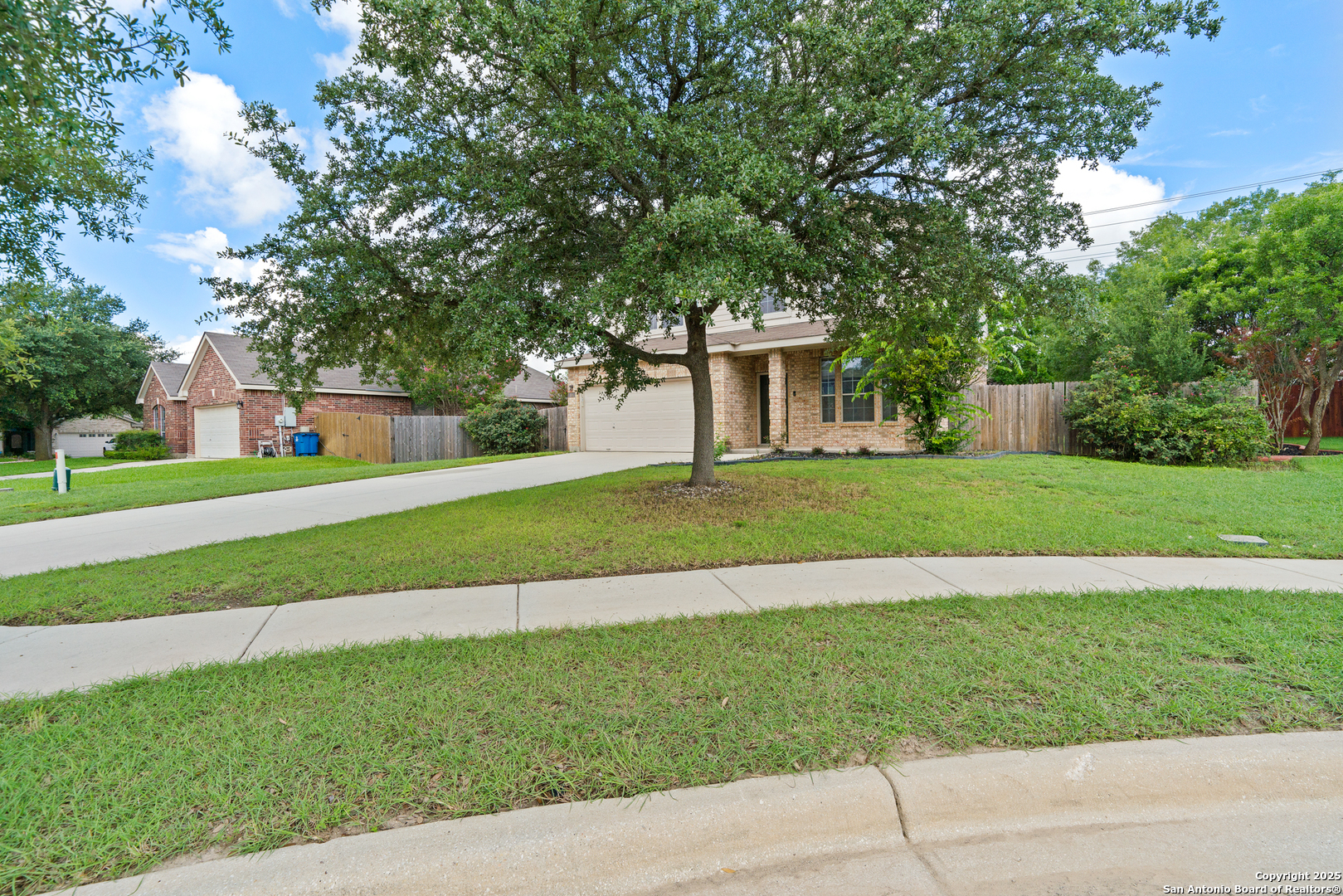 104 Coriander