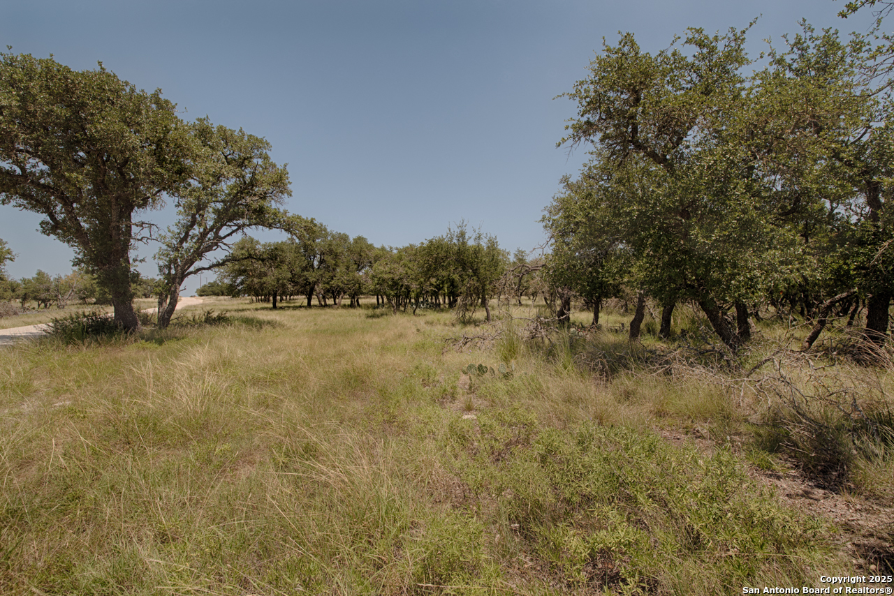 379 Bent Tree
