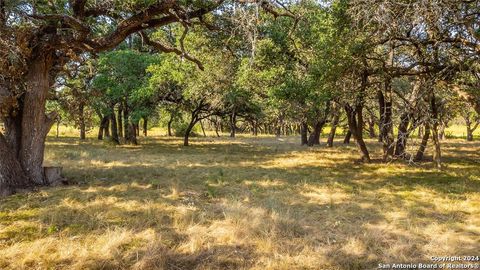 2455 County Road 2699 Lometa TX 76853
