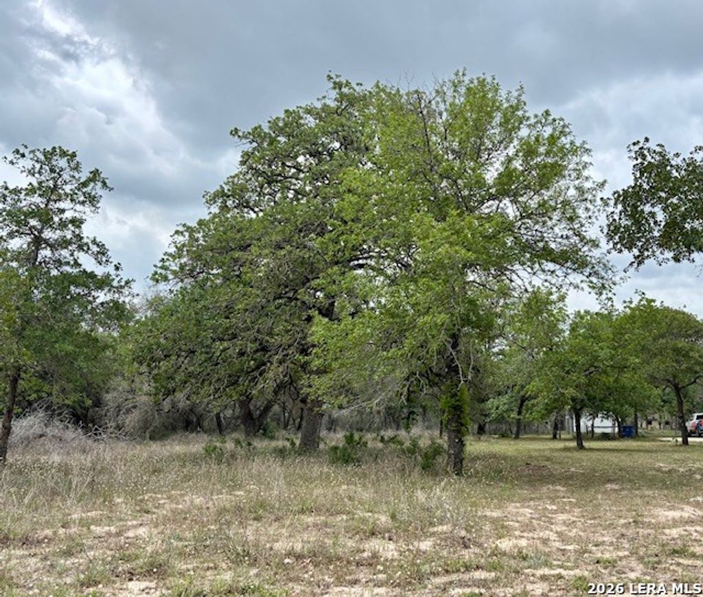 Photo of 472 Rose Blossom Loop, La Vernia, TX 78121 (MLS # 1958682)