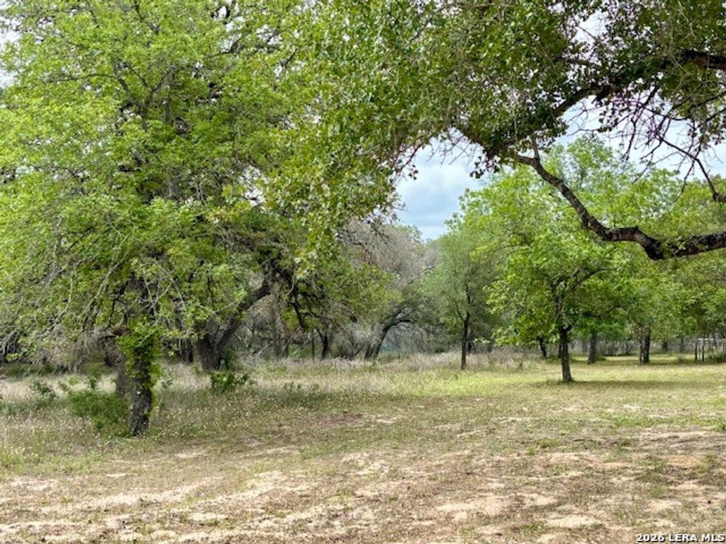 Photo of 472 Rose Blossom Loop, La Vernia, TX 78121 (MLS # 1958682)