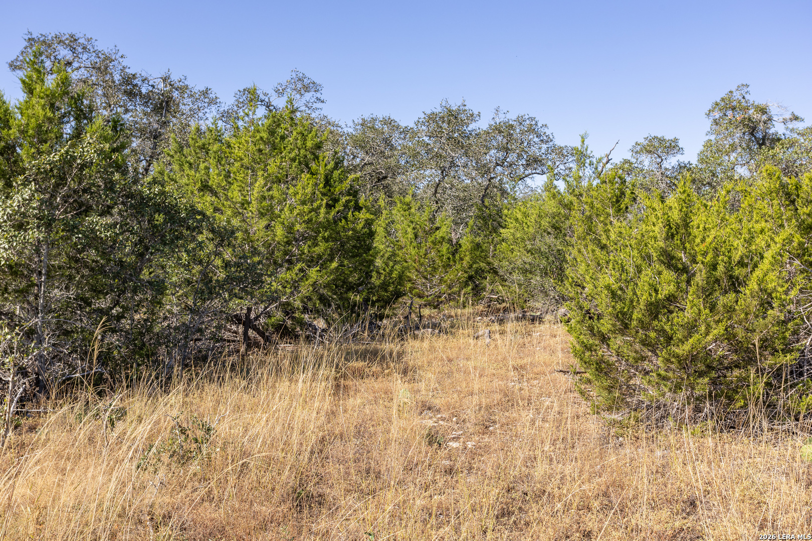 BLOCK 1, LOT 13 Standing Tall