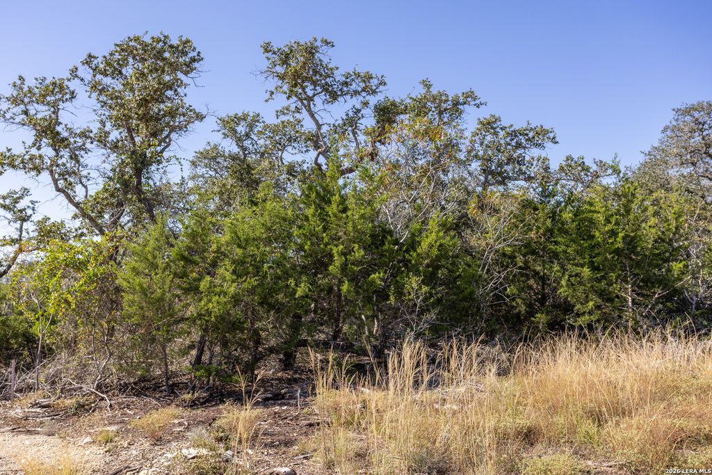 Photo of BLOCK 1, LOT 13 Standing Tall, Boerne, TX 78006 (MLS # 1940608)