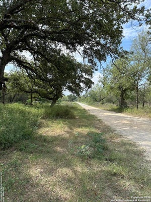 20594 S STATE HIGHWAY 16, ATASCOSA, TX 78264 - Image bf96df589b7e0a36835bb34d6c2f0caa/3289986262