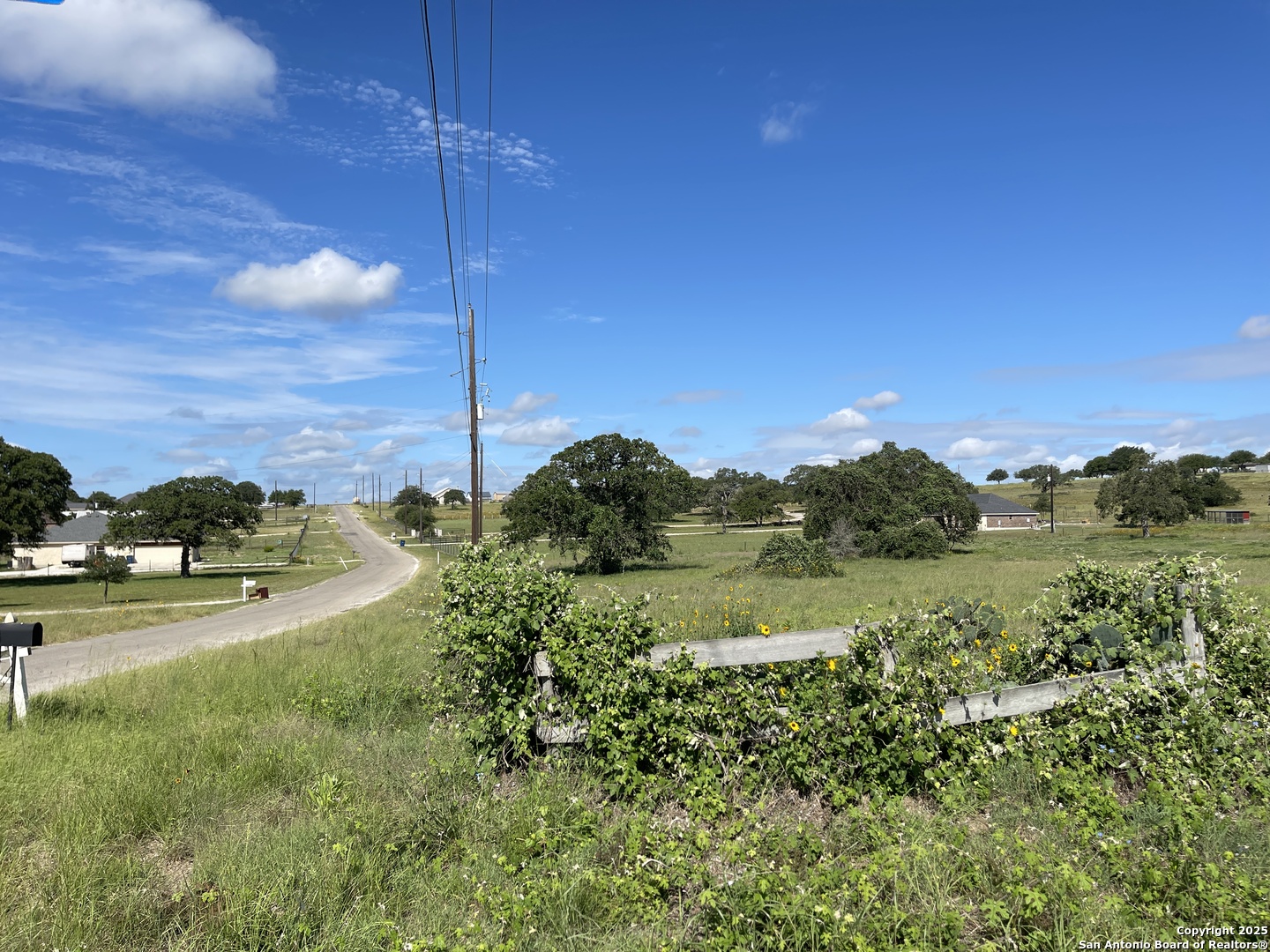 401 Shady Lane