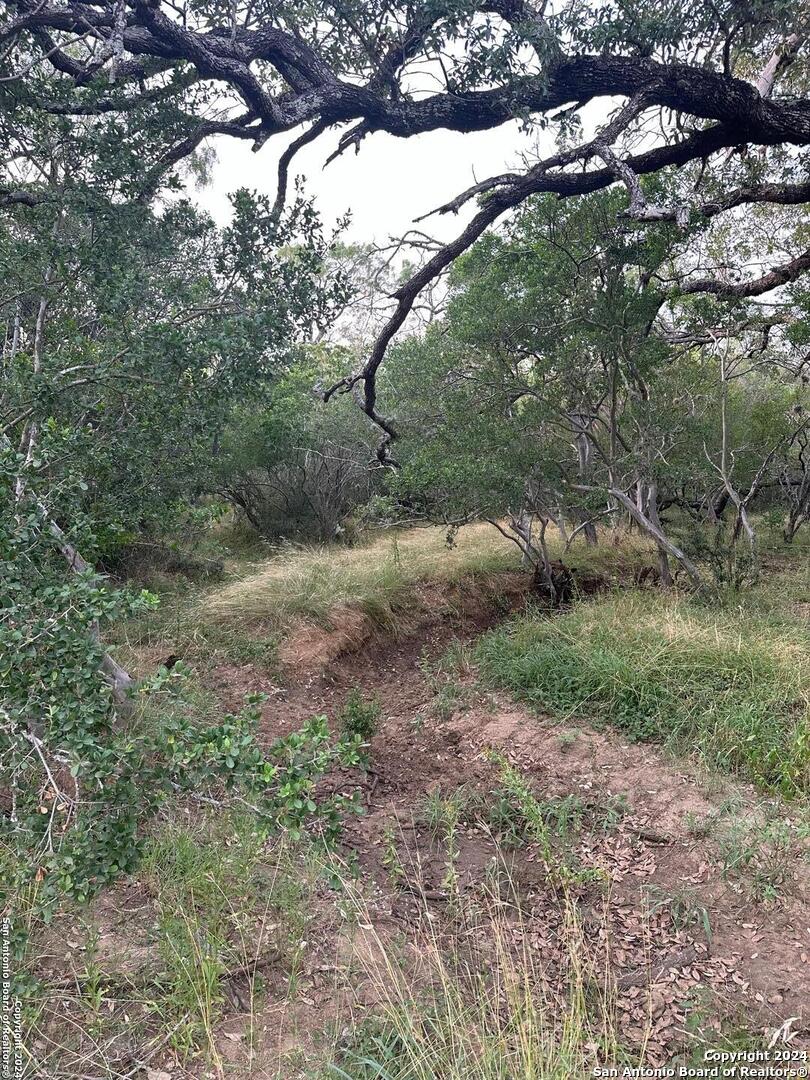 7507 New Sulphur Springs Rd