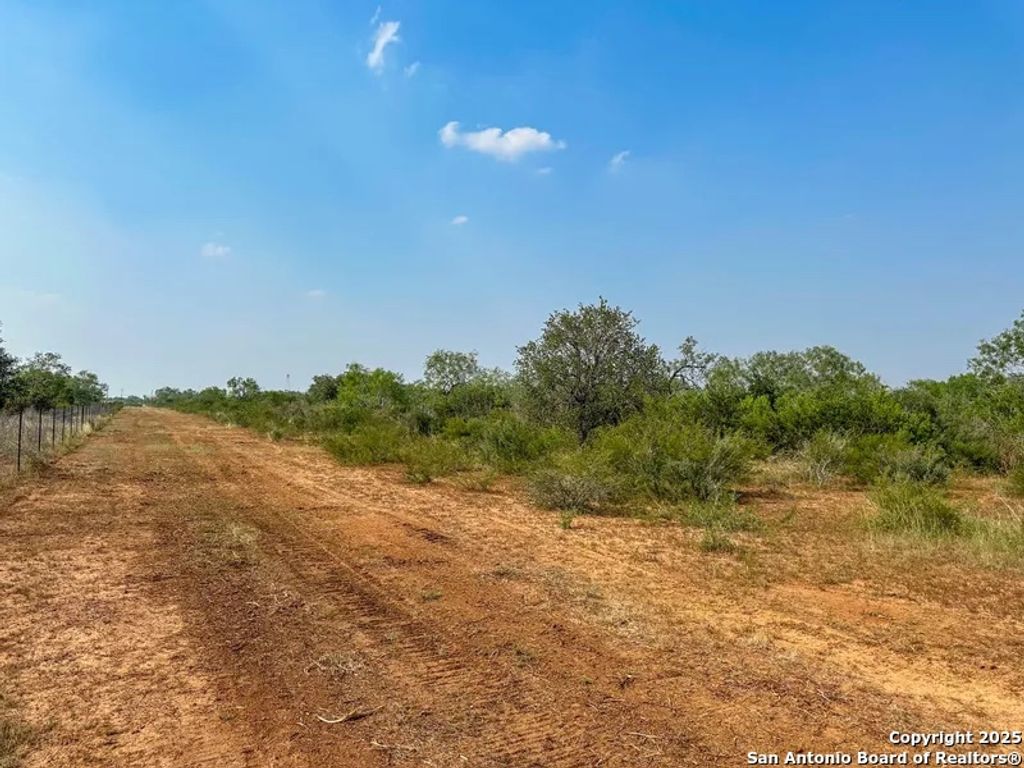 Photo of 1294 CR 429, Pleasanton, TX 78064 (MLS # 1866472)