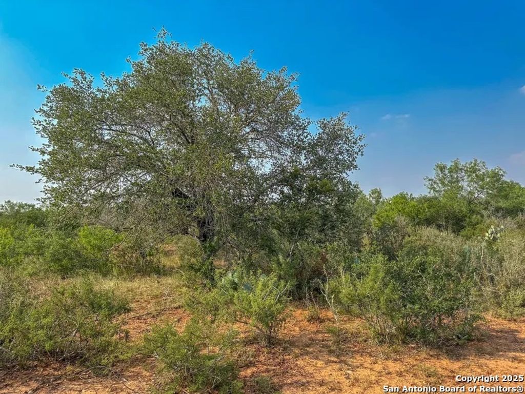 Photo of 1294 CR 429, Pleasanton, TX 78064 (MLS # 1866472)