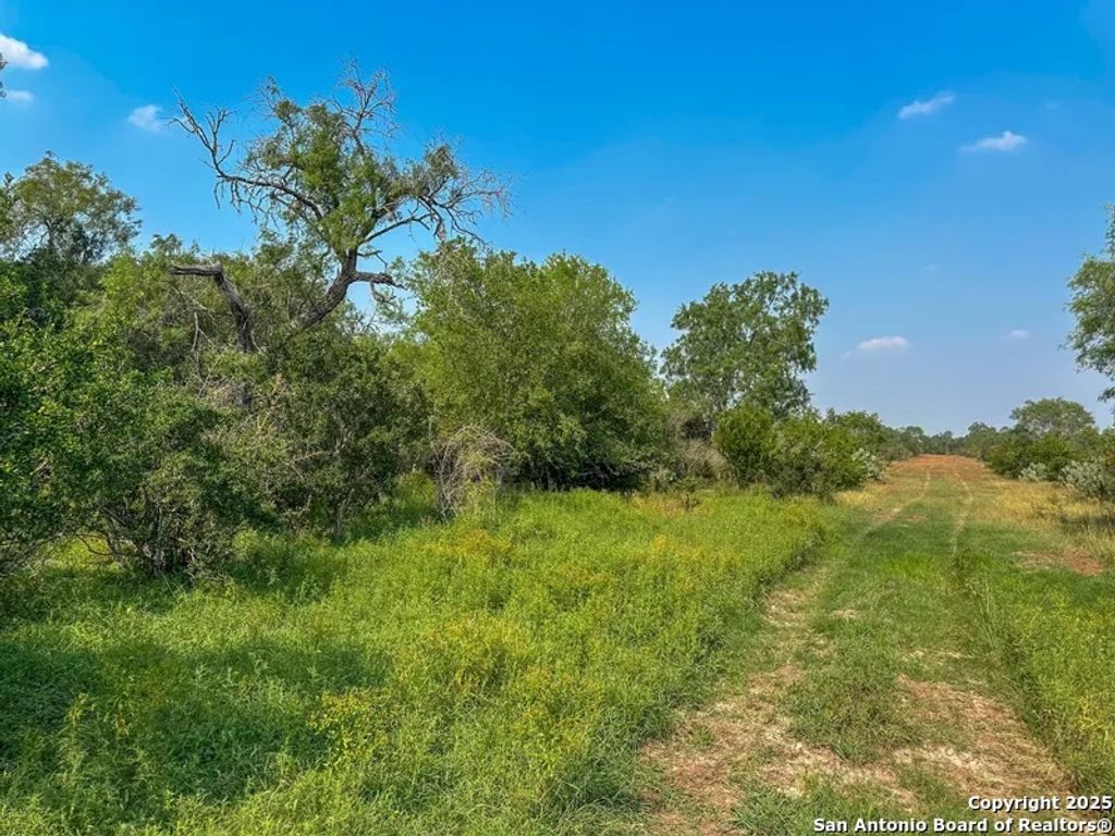 Photo of 1294 CR 429, Pleasanton, TX 78064 (MLS # 1866472)