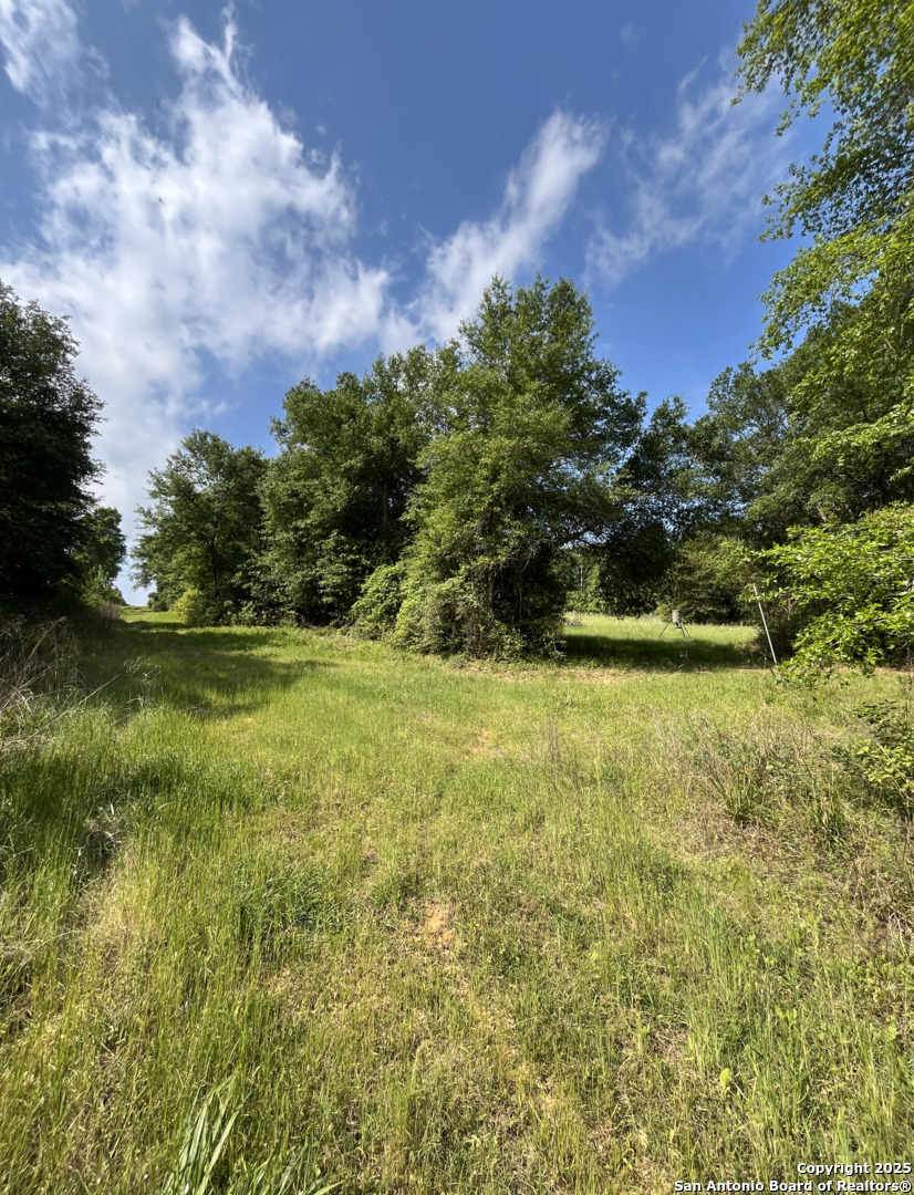 14004 County Road 470