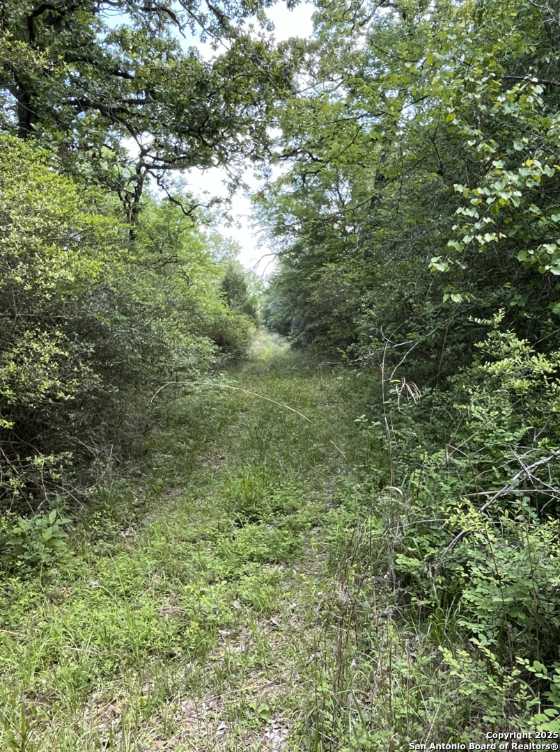 14004 County Road 470