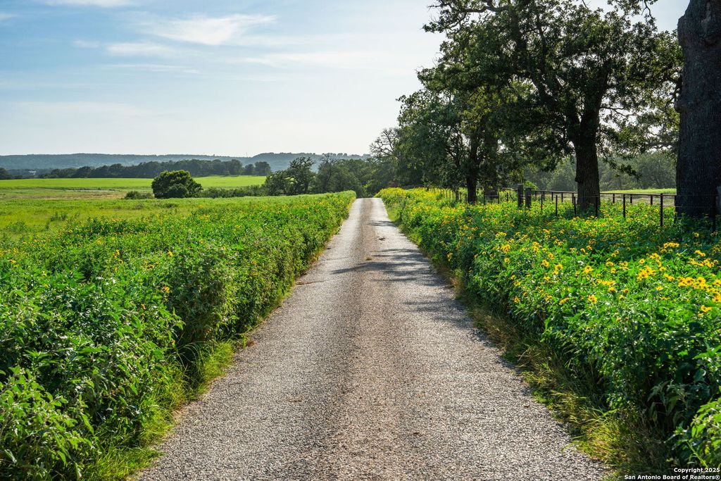 Photo of 449 Luke Hayes Way, Fredericksburg, TX 78624 (MLS # 1890816)