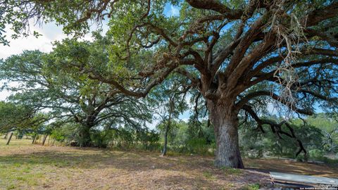 3638 Fm 2579 Floresville TX 78114