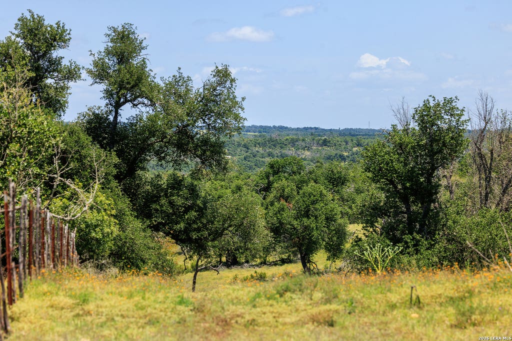 Photo of 2656 Meier Road, Fredericksburg, TX 78624 (MLS # 2002302)