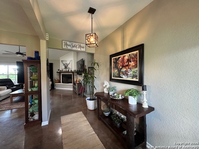 811 Hillside Dr.