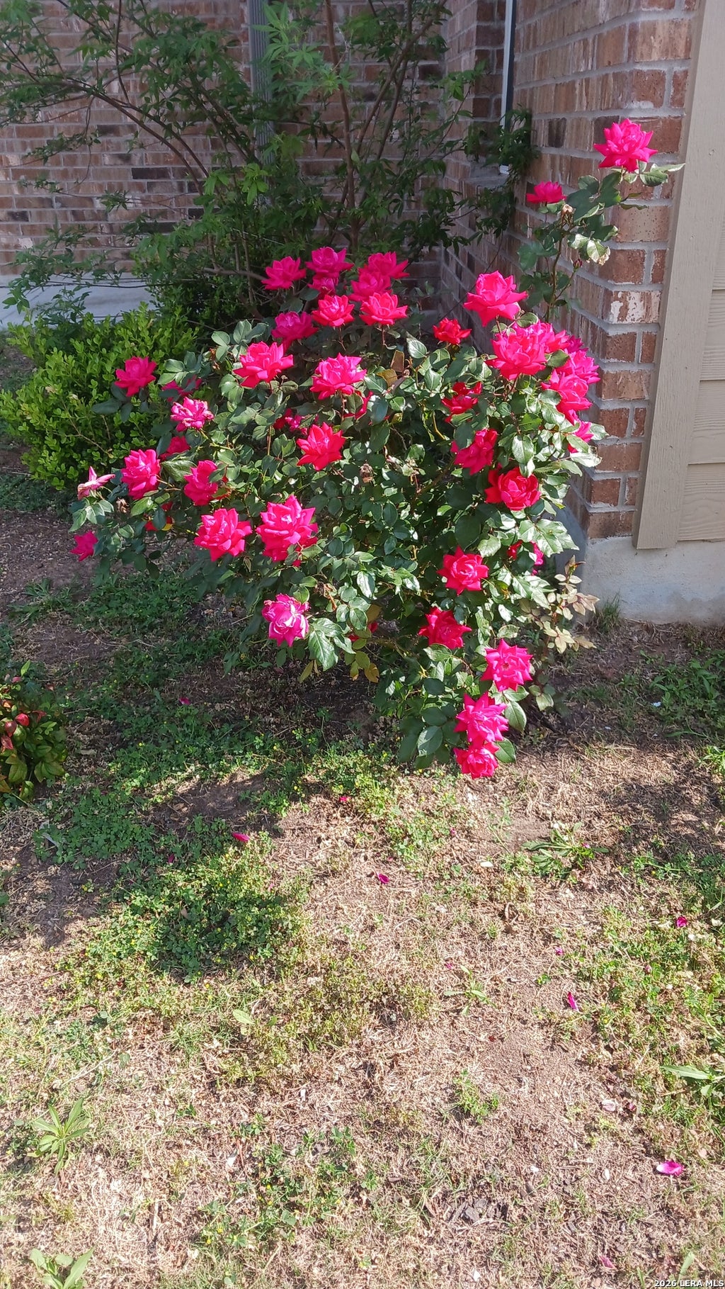 Photo of 303 SULPHUR SPRINGS, Cibolo, TX 78108 (MLS # 1947239)