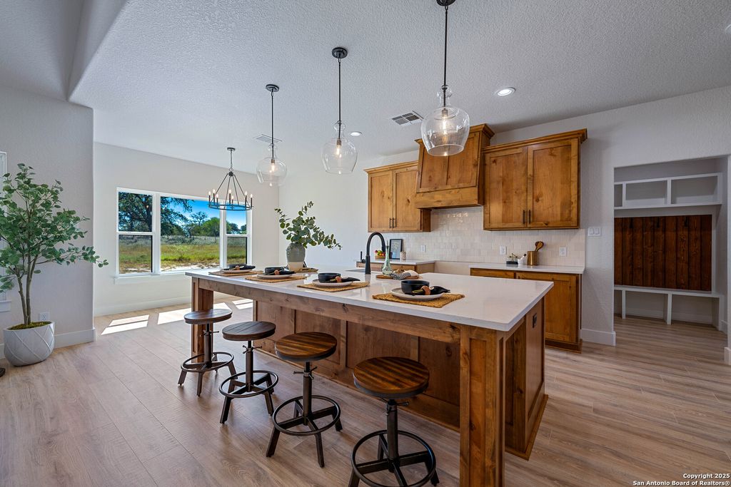 Photo of 156 Firewheel Loop, Floresville, TX 78114 (MLS # 1913638)