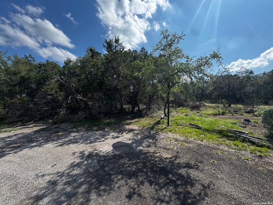 351 BARTON MEADOW DR, DRIPPING SPRINGS, TX 78620 - Image c365bcedc4db266e07711ef3d97e2561/1011557769