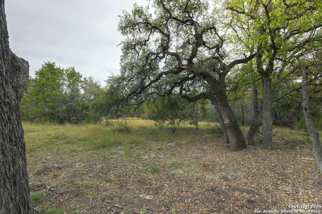 Spring Branch, Texas 78070, United States, 3 Bedrooms Bedrooms, ,2 BathroomsBathrooms,Residential,Pending,30015