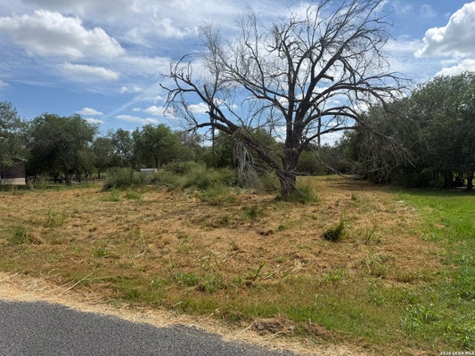 810 SHENANDOAH ST, POTH, TX 78147 - Image c3b9801d0802ece8bbdd5889fb33694c/1484985541