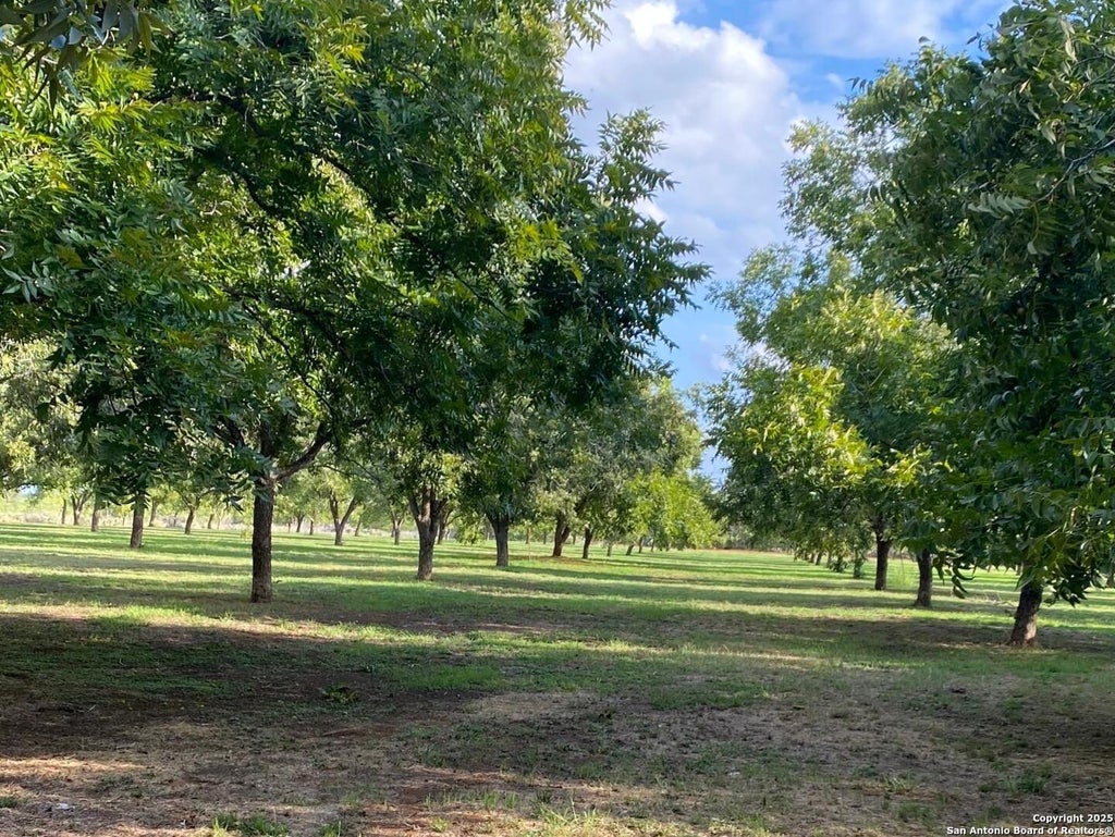 Photo of 6 Collins Hill Rd, Lytle, TX 78052 (MLS # 1866383)