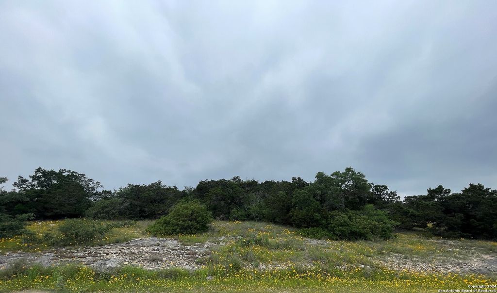 Photo of 14333 SANTA LOMA, Helotes, TX 78023 (MLS # 1920059)